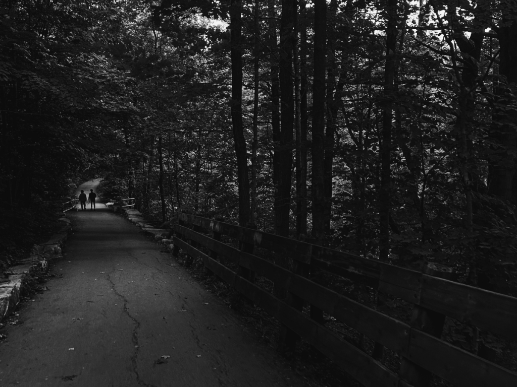 two people walking in the park in the evening black and white vishmith blog vlog